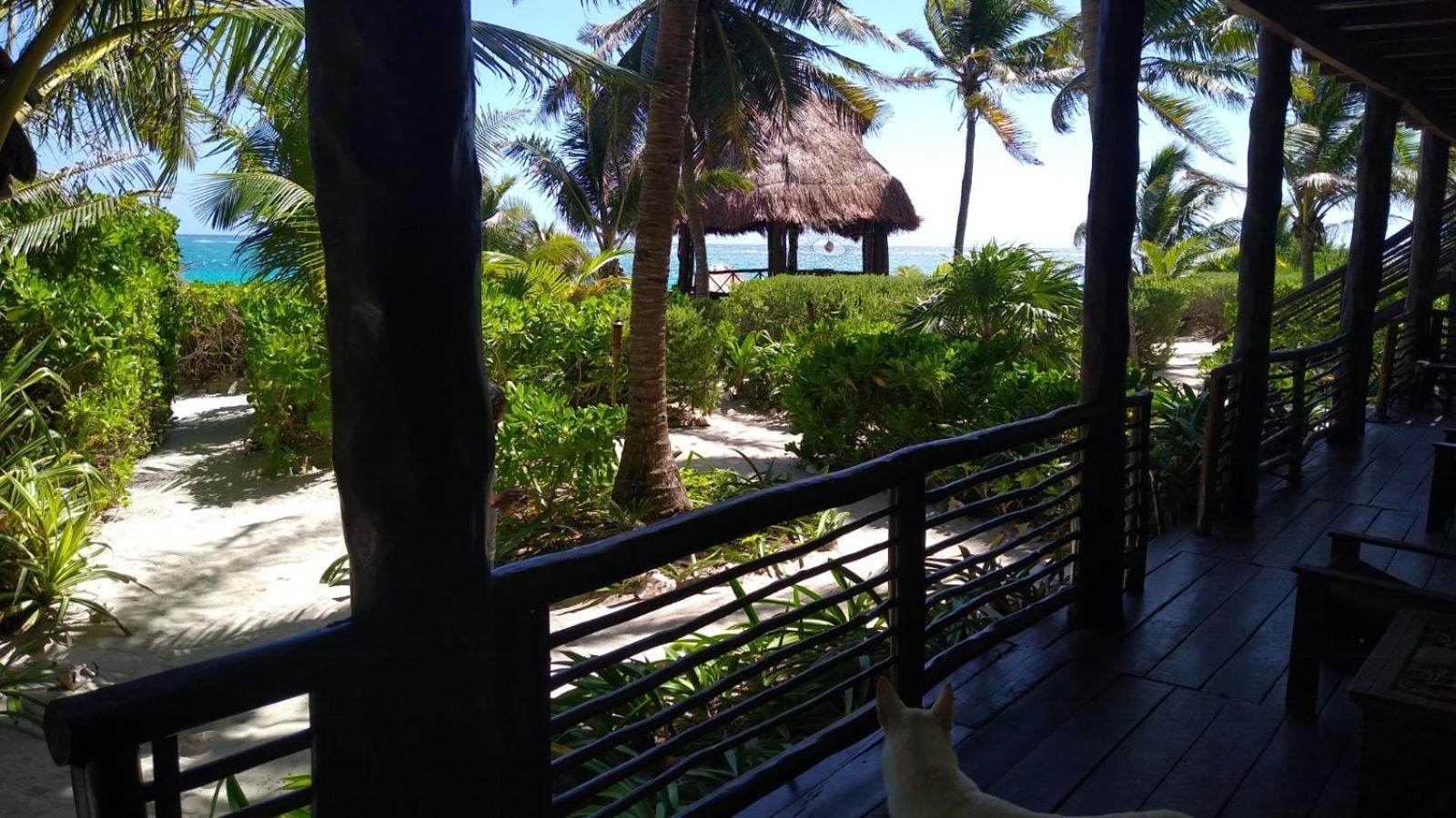 Sol Caribe Hotel Punta Allen Ngoại thất bức ảnh