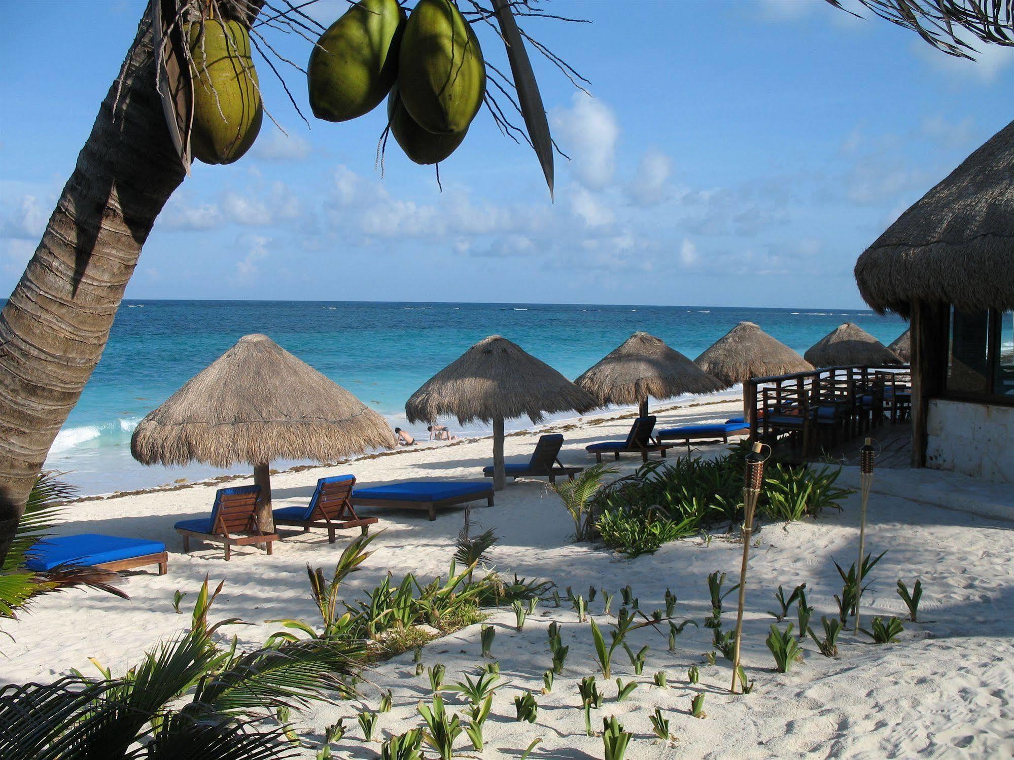 Sol Caribe Hotel Punta Allen Ngoại thất bức ảnh